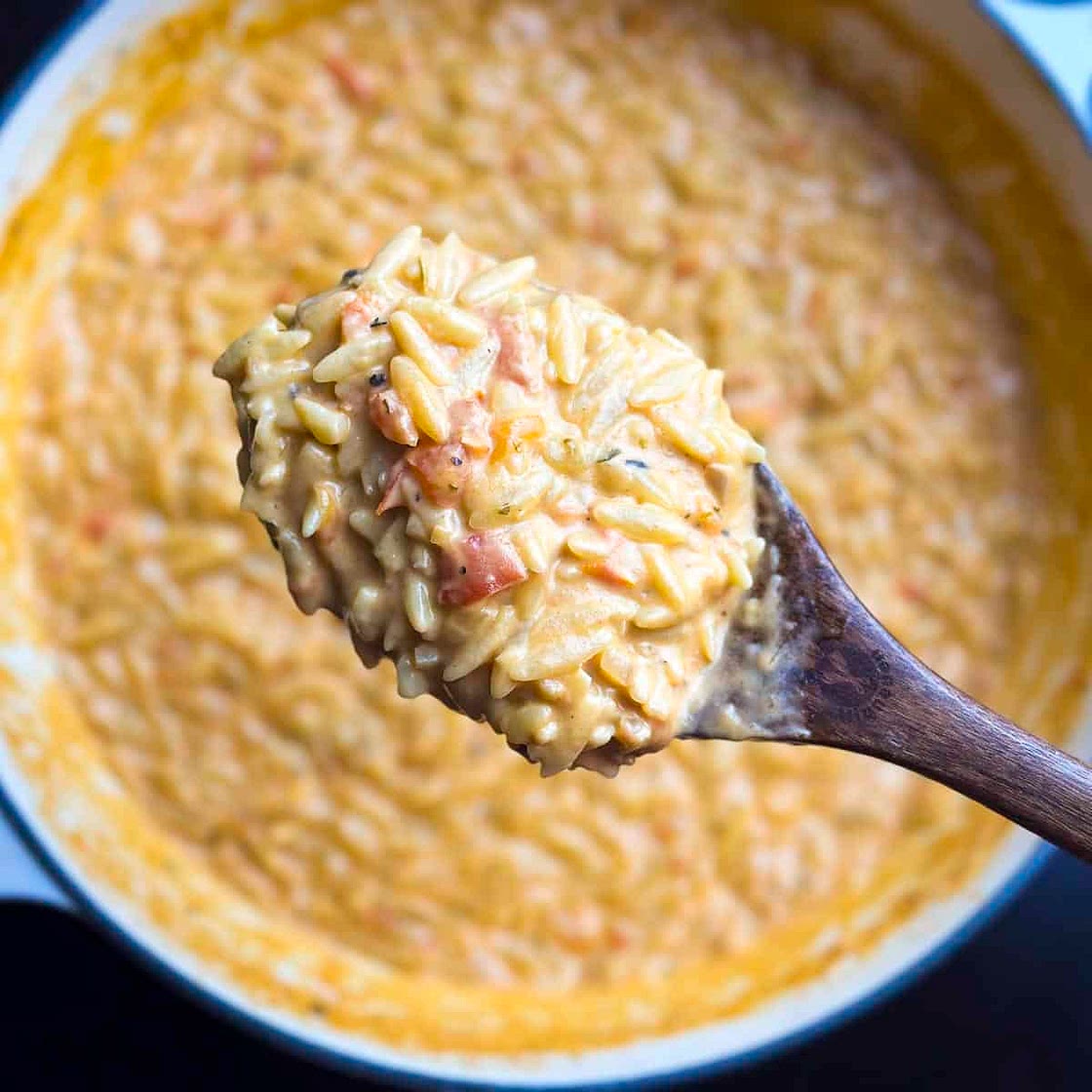 Creamy Tomato Orzo Recipe