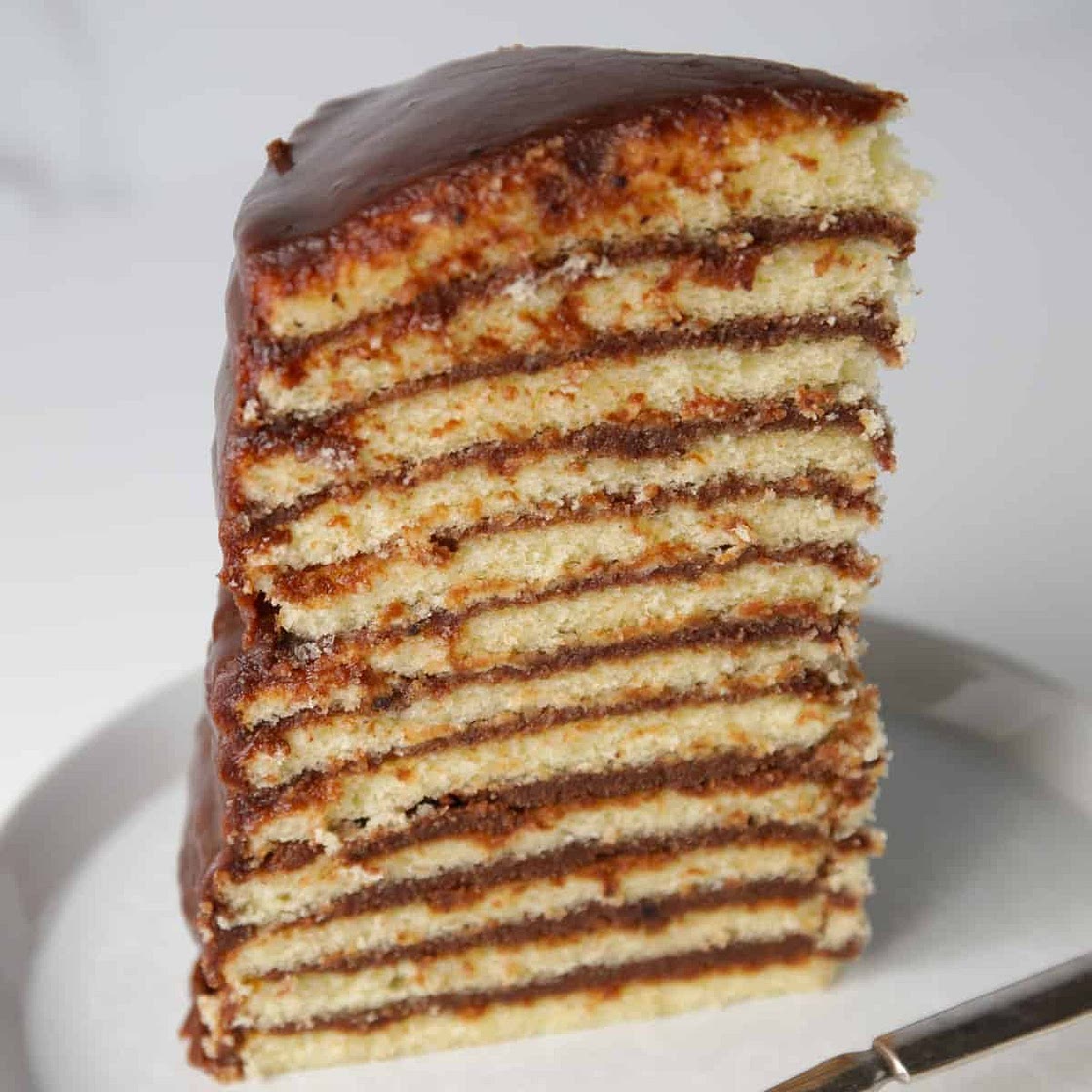 Lydia's 10-Layer Chocolate Cake