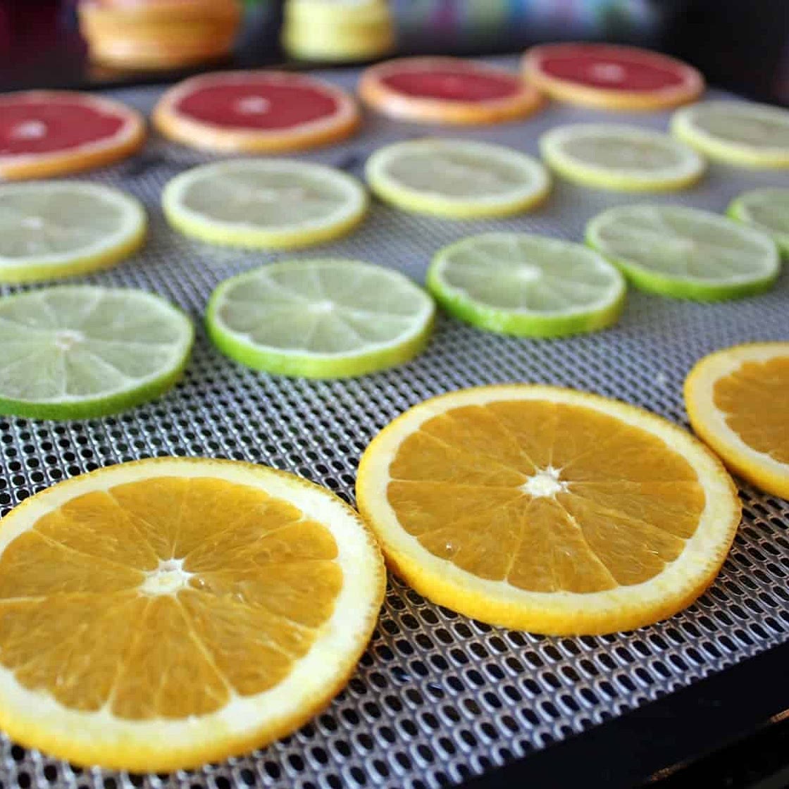 Dehydrated Citrus {Oranges, Grapefruit, Lemons and Limes} Recipe