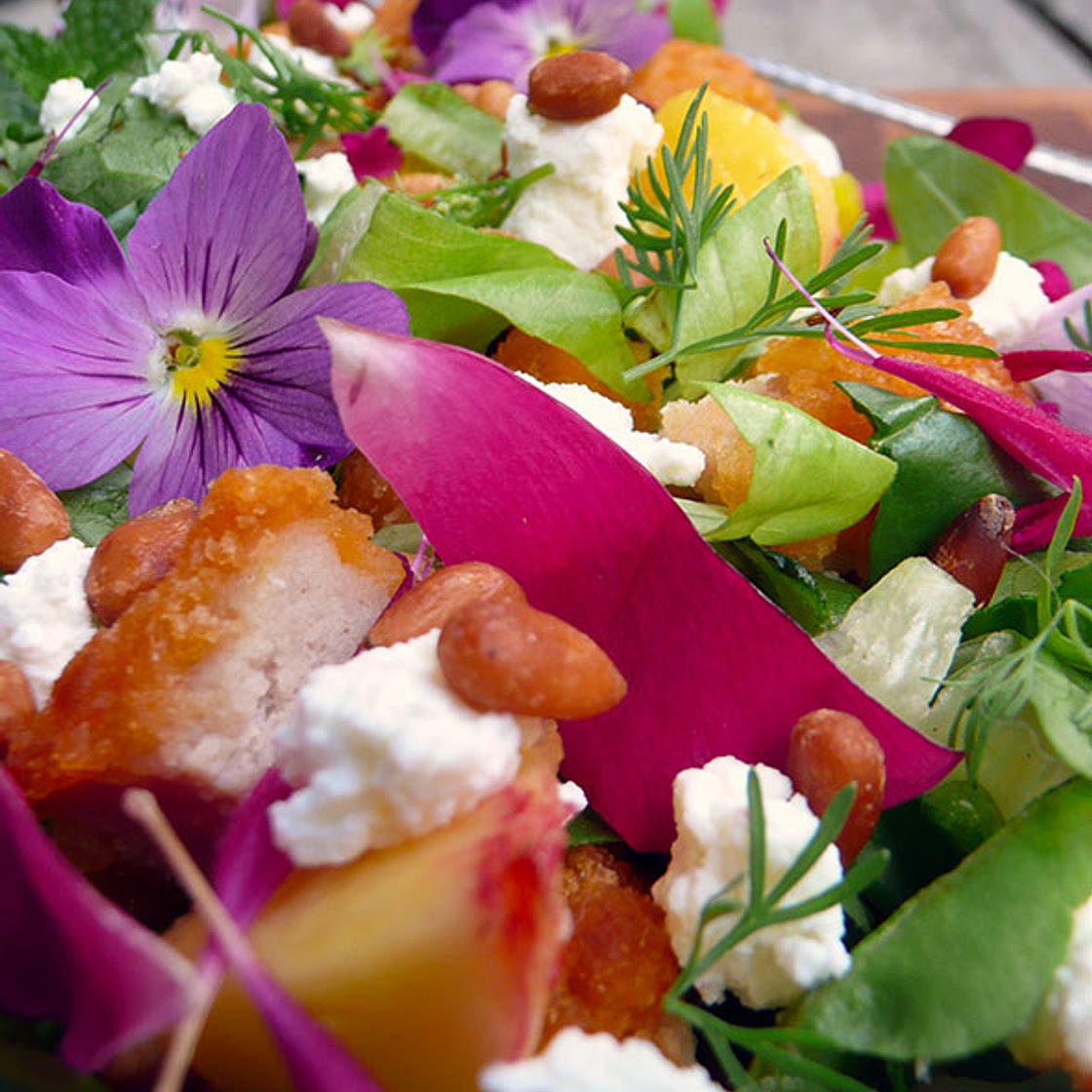 A Floral Peach & Chicken Salad