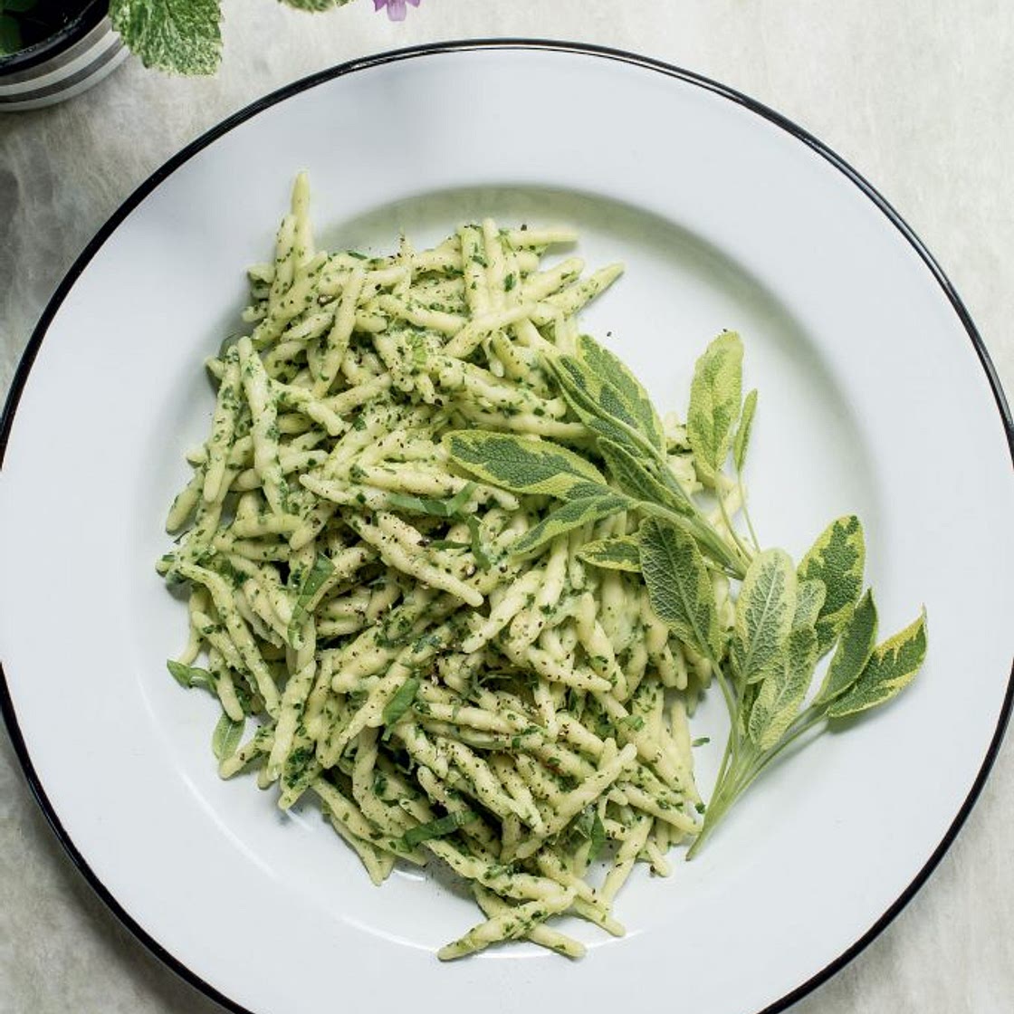 Pâtes à la ricotta et au pesto d’épinards et basilic