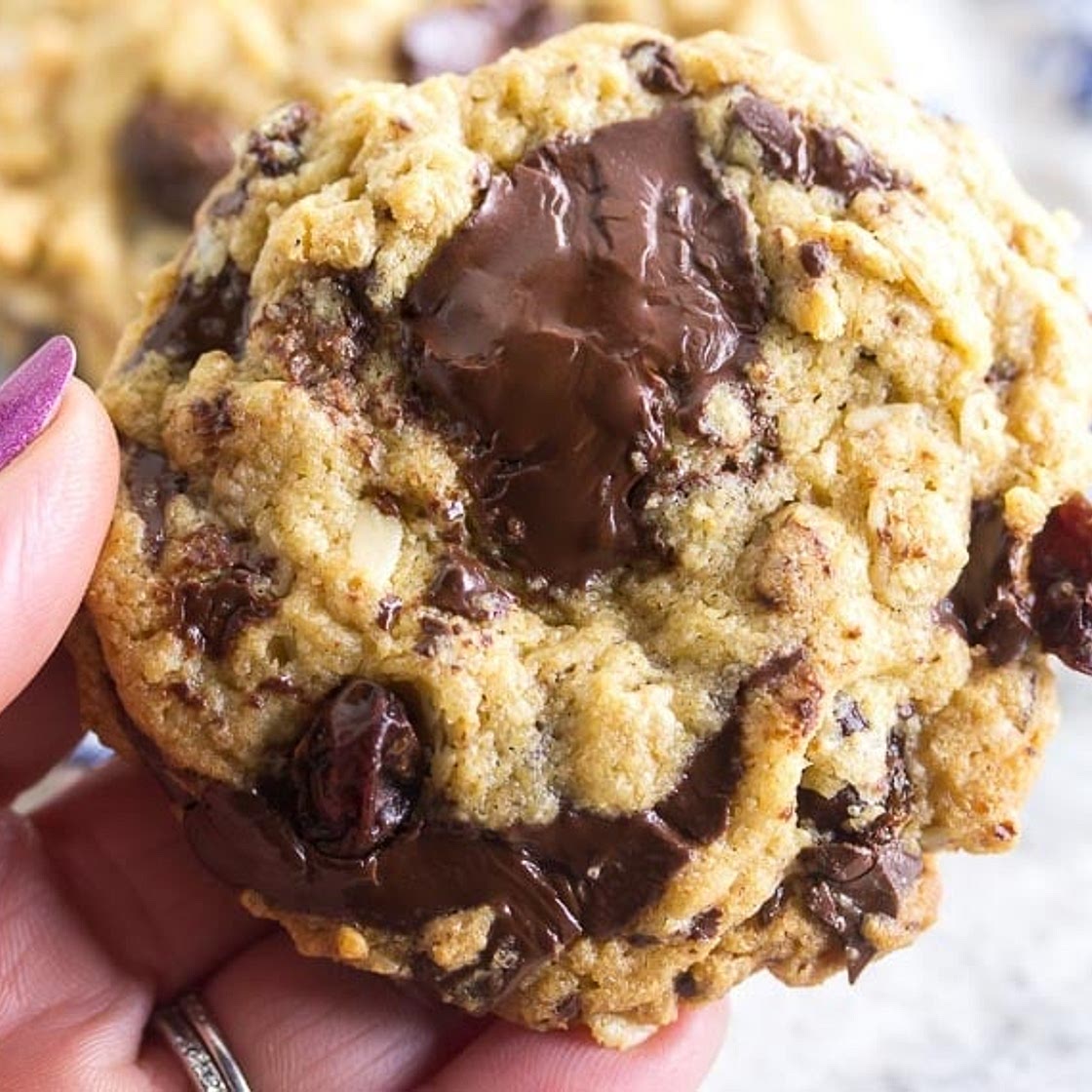 One-Bowl Low FODMAP Peanut Butter Oatmeal Chocolate Chunk Cookies with Raisins