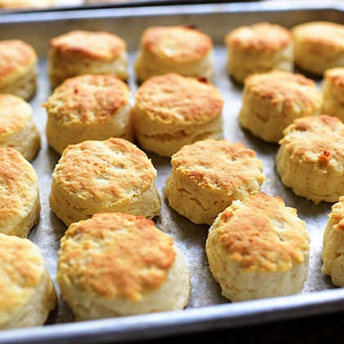 Self-Rising Biscuits