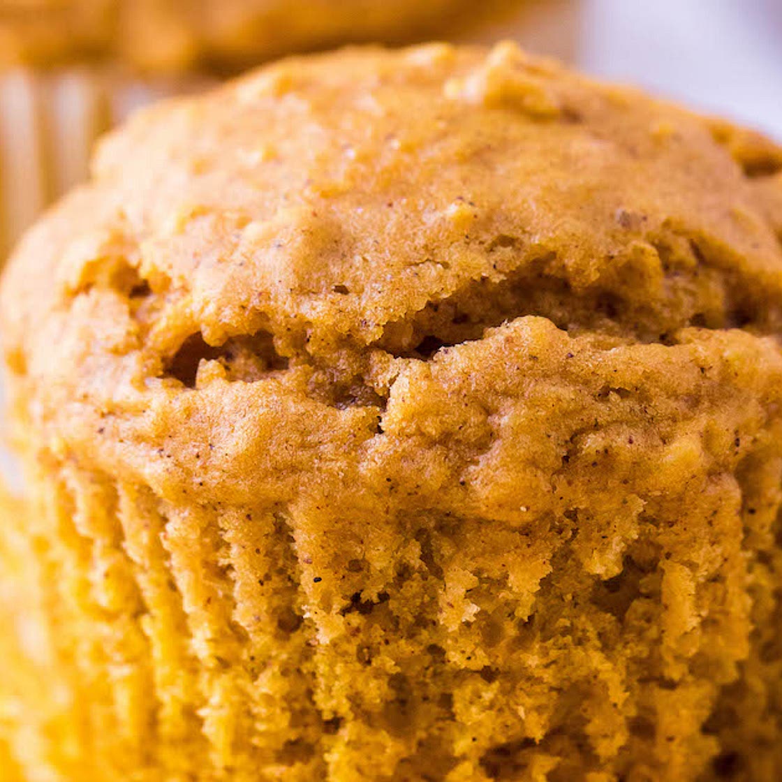 Pumpkin Oatmeal Muffins