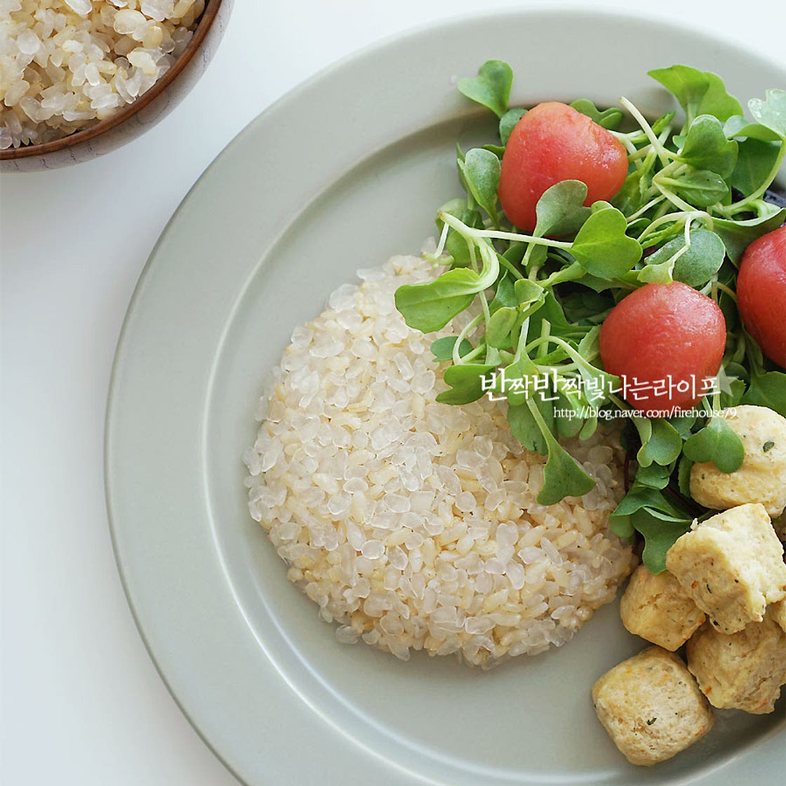 현미 곤약밥 하는법 다이어트음식 곤약쌀