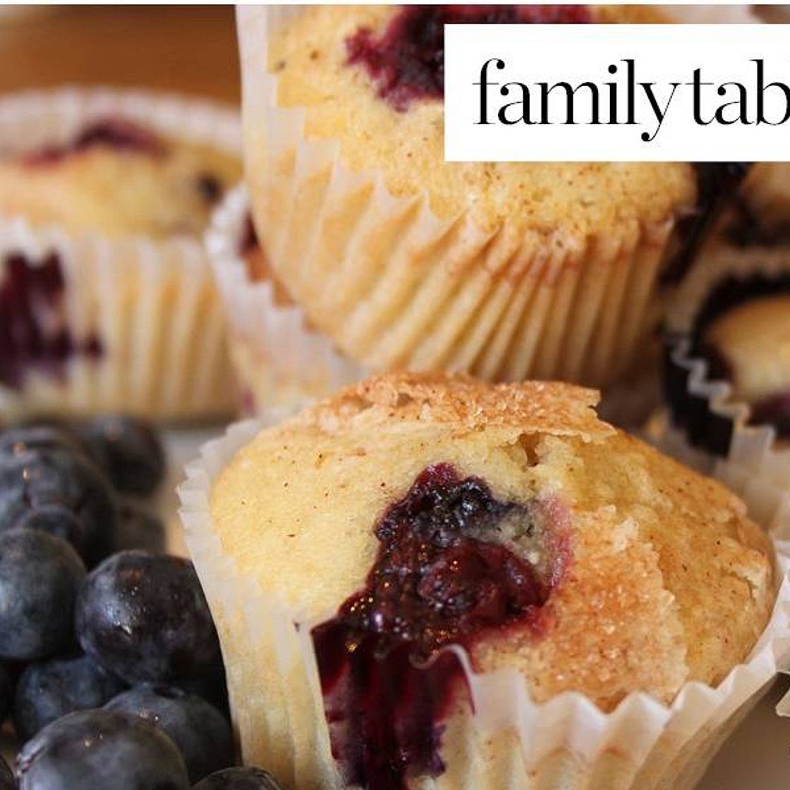 Perfect Pesach Blueberry Muffins (Gluten Free)