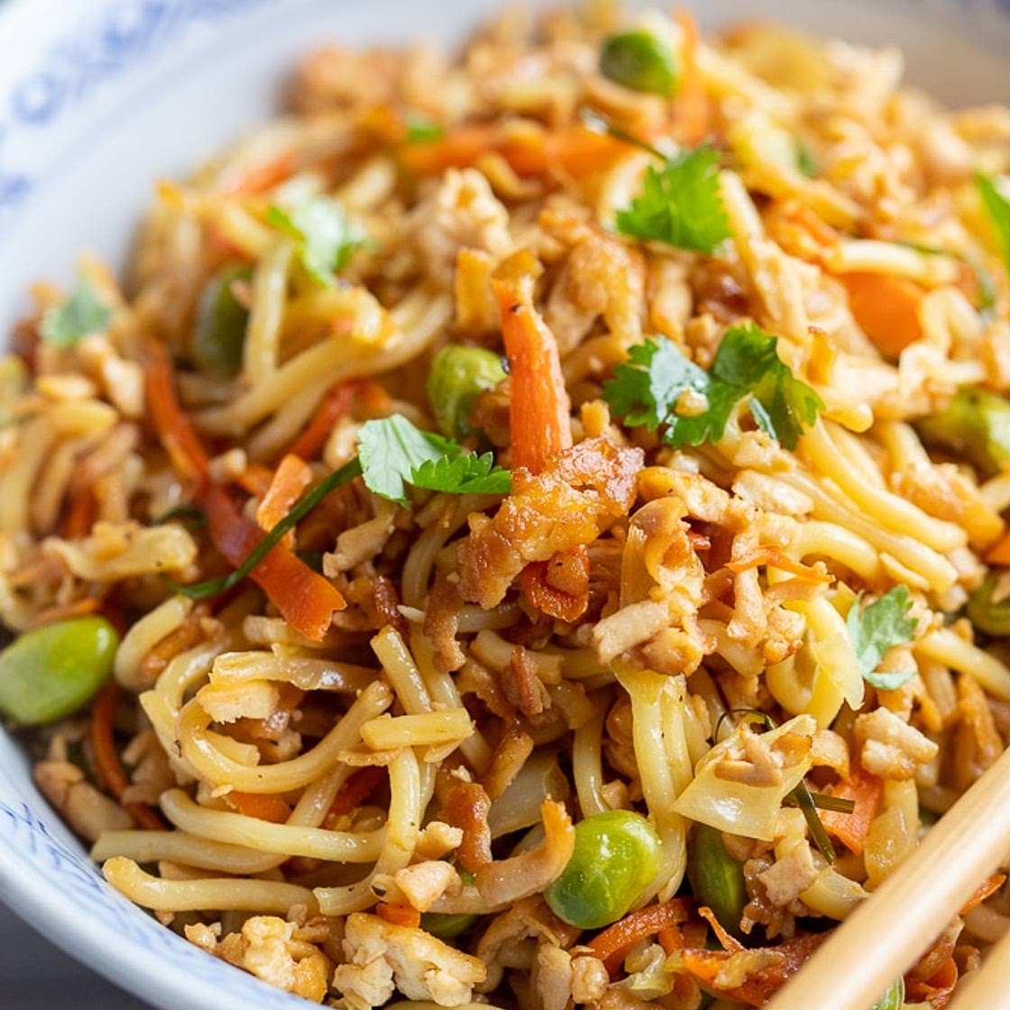 Stir Fry Noodles with Crispy Grated Tofu