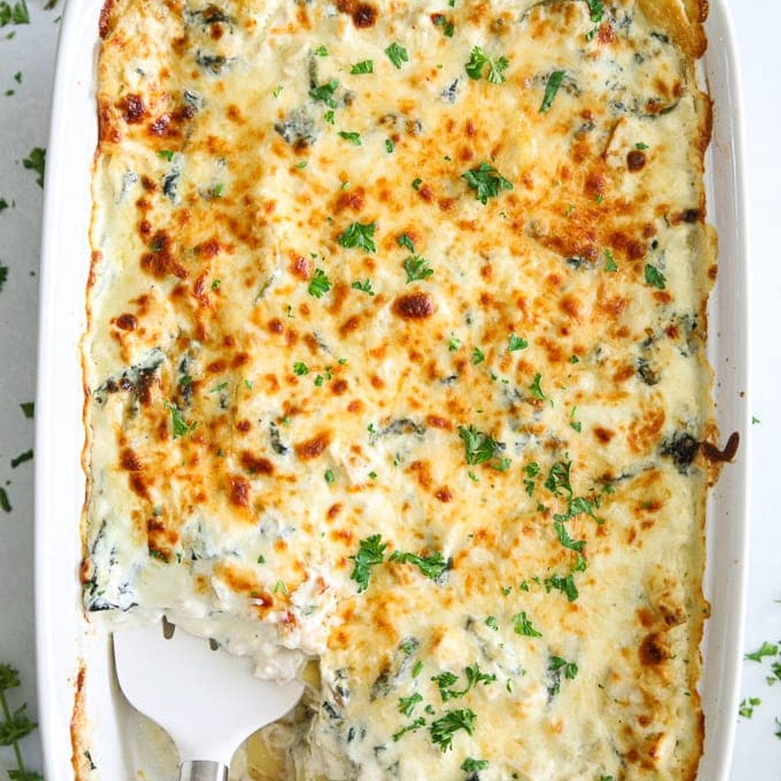 Chicken Alfredo Lasagna