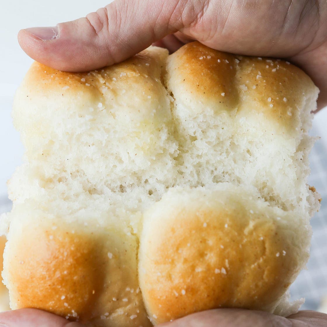 Gluten-Free Yeast Dinner Rolls