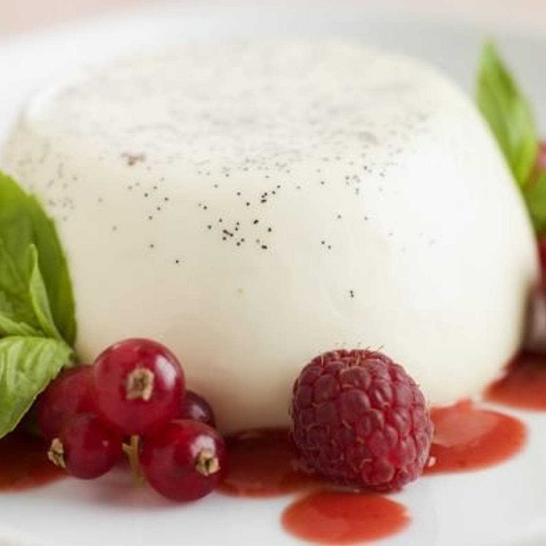 Panna Cotta
