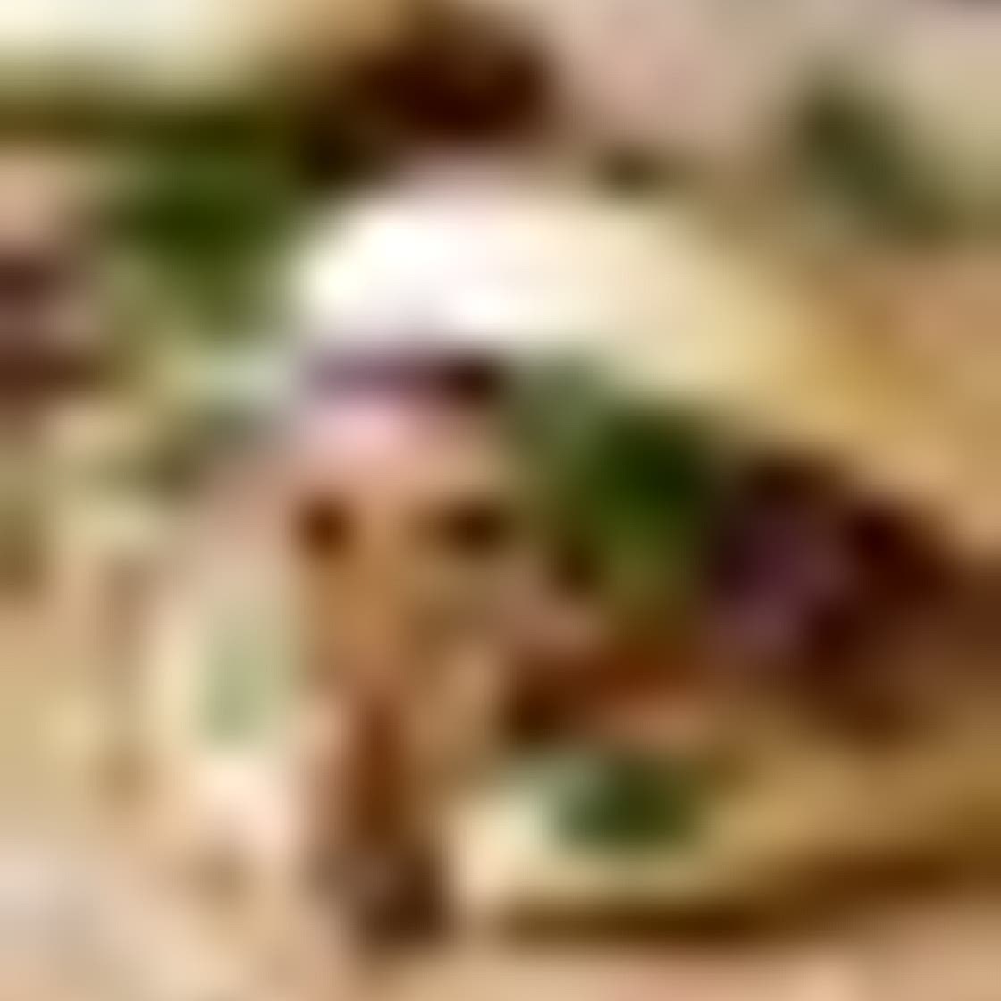 Vegan bao buns with pulled jackfruit