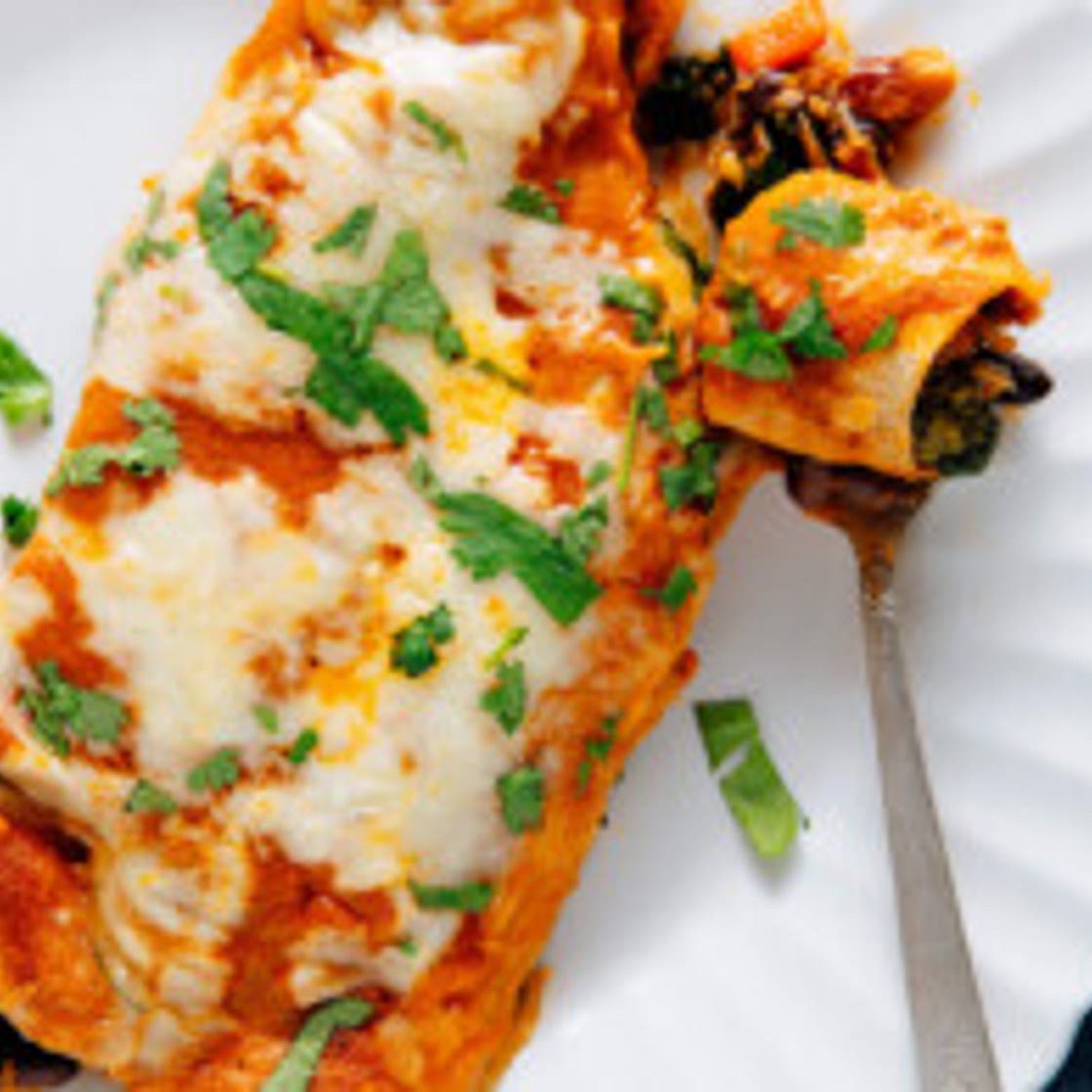 Veggie Black Bean Enchiladas