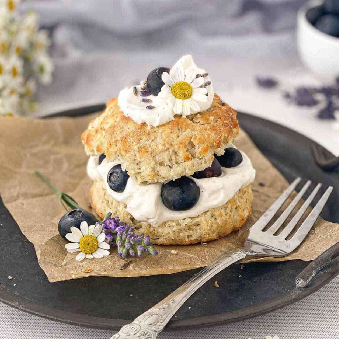 Blueberry Shortcake