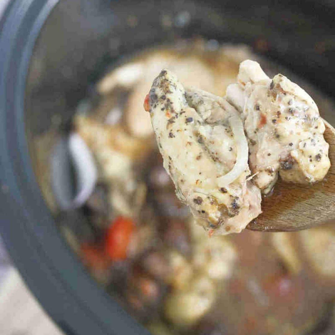 Slow Cooker Hunters Chicken