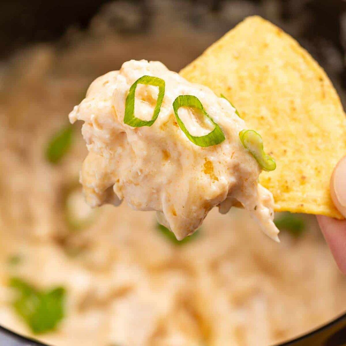 Slow Cooker Buffalo Chicken Dip