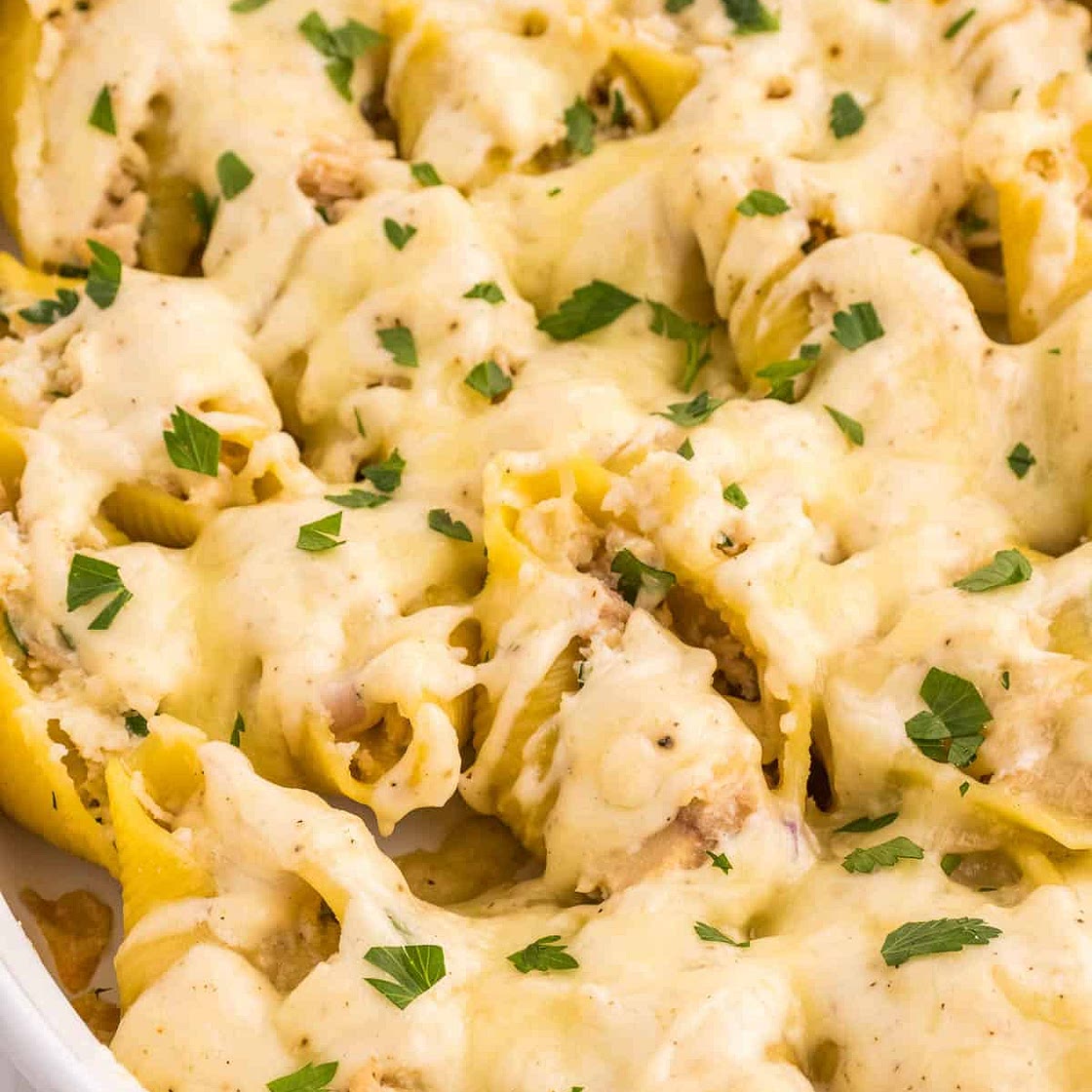 Tuna Stuffed Pasta Shells
