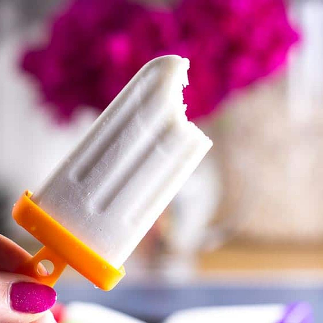 Low FODMAP 2-Ingredient Coconut Popsicles