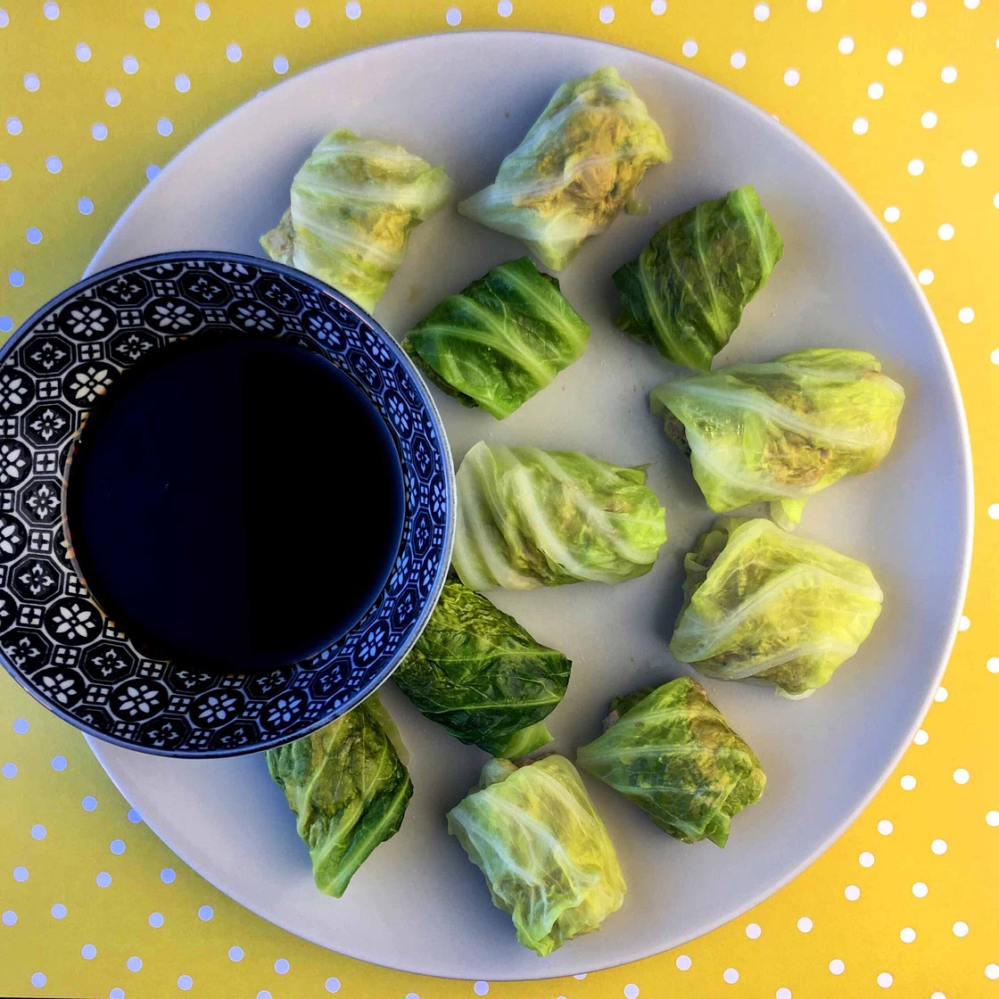 Pork Filled Cabbage Dumplings Recipe