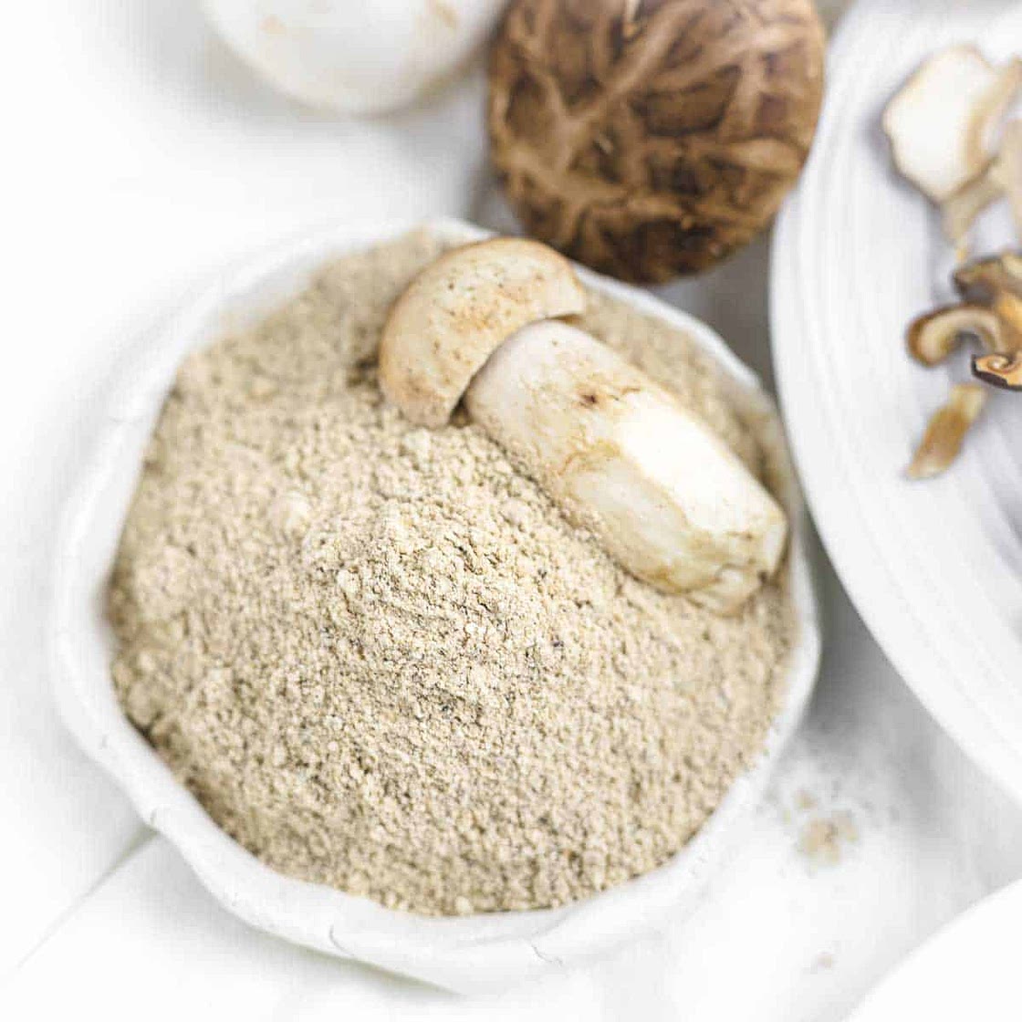 Homemade Mushroom Powder Seasoning