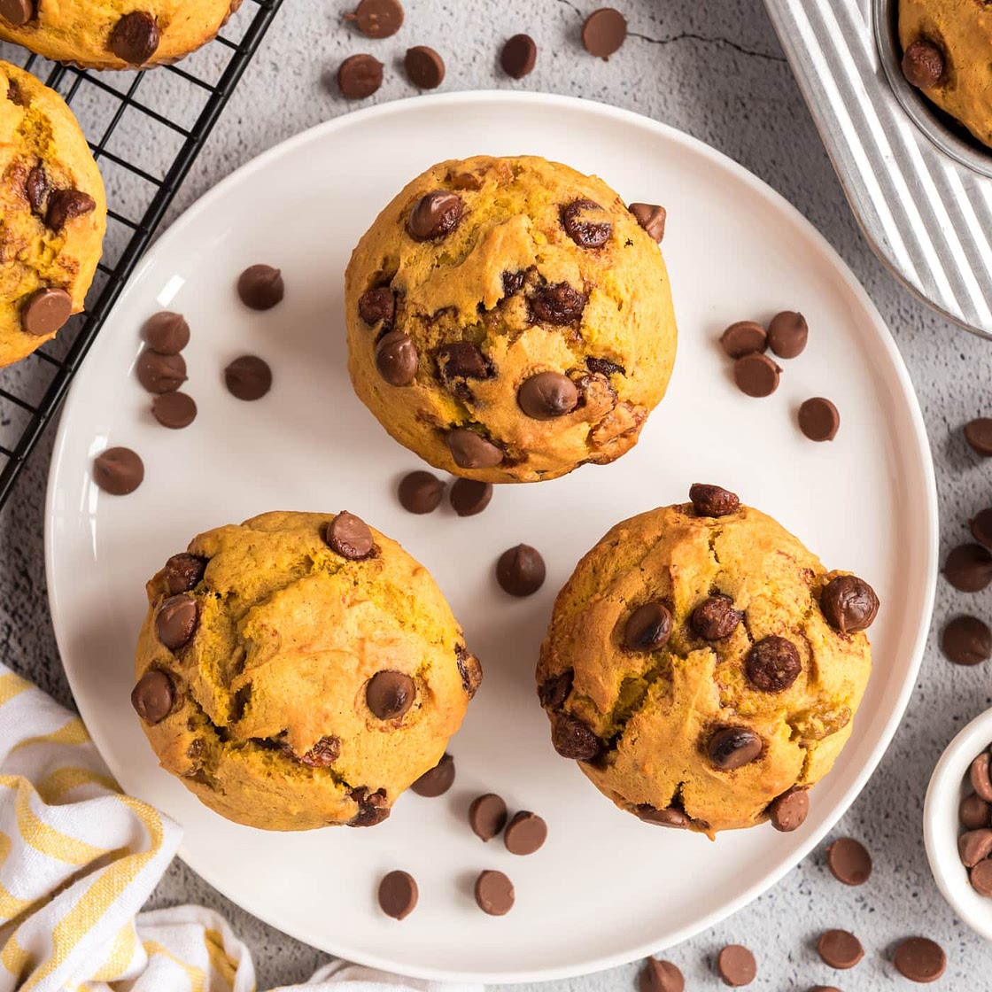 Chocolate Chip Pumpkin Muffins
