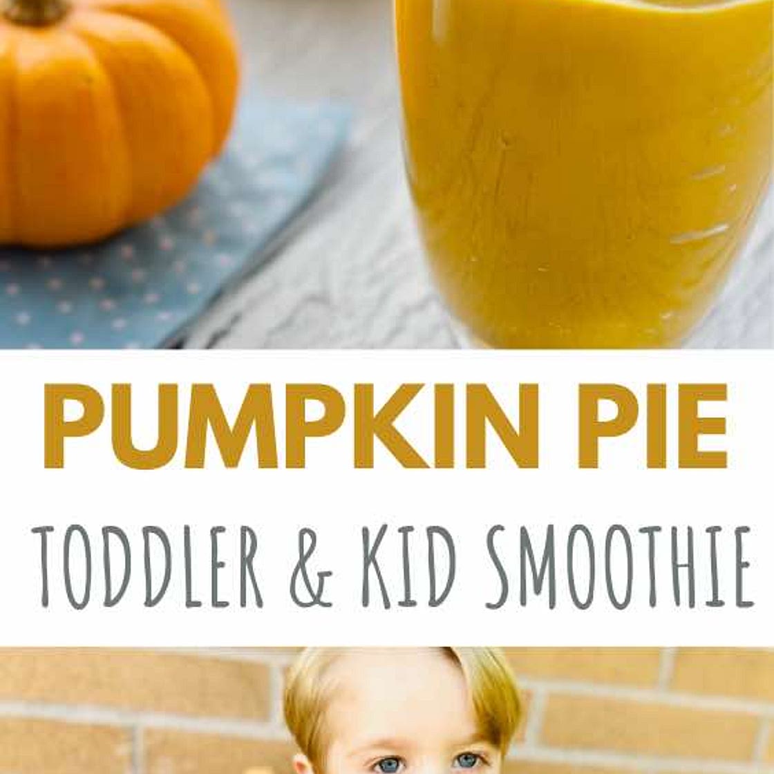 Pumpkin Smoothie Recipe - Twin Mom Refreshed