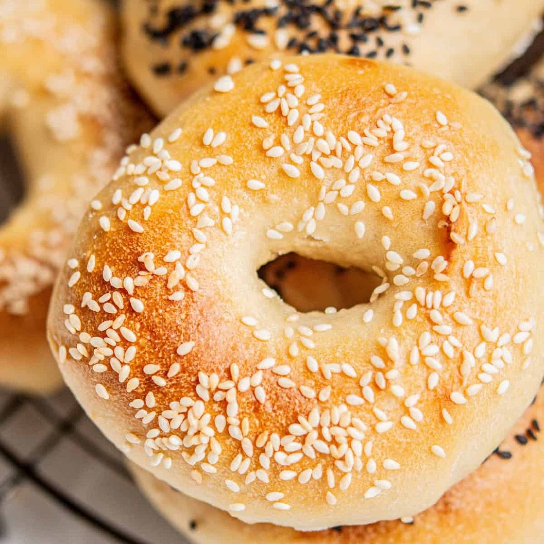 New York-Style Sourdough Bagels