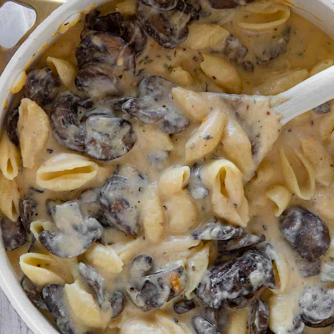 Mushroom Shells and Cheese