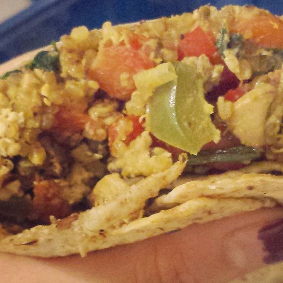 Healthy Teriyaki Chicken Wrap