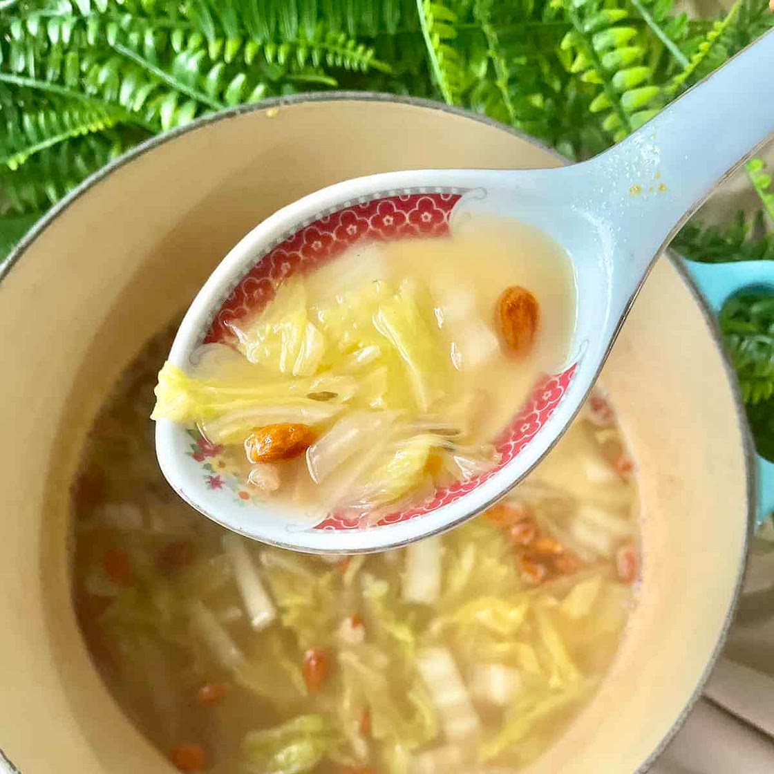 Easy Chinese Cabbage Soup Recipe (20 minutes)