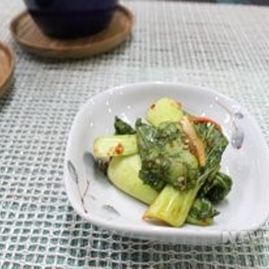 청경채 겉절이 만드는 법