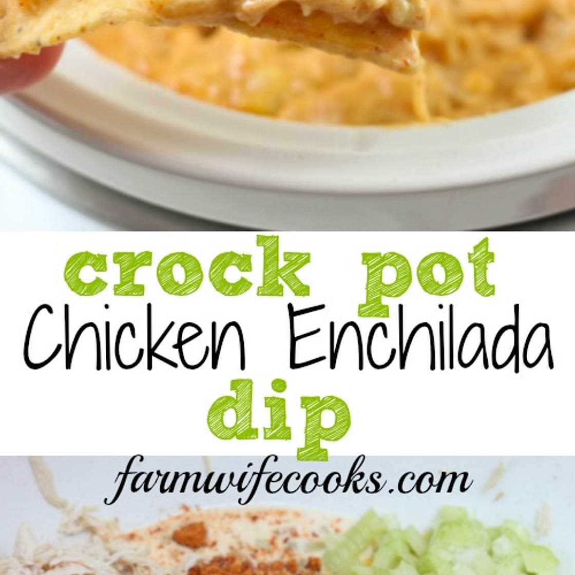 Crock Pot Chicken Enchilada Dip