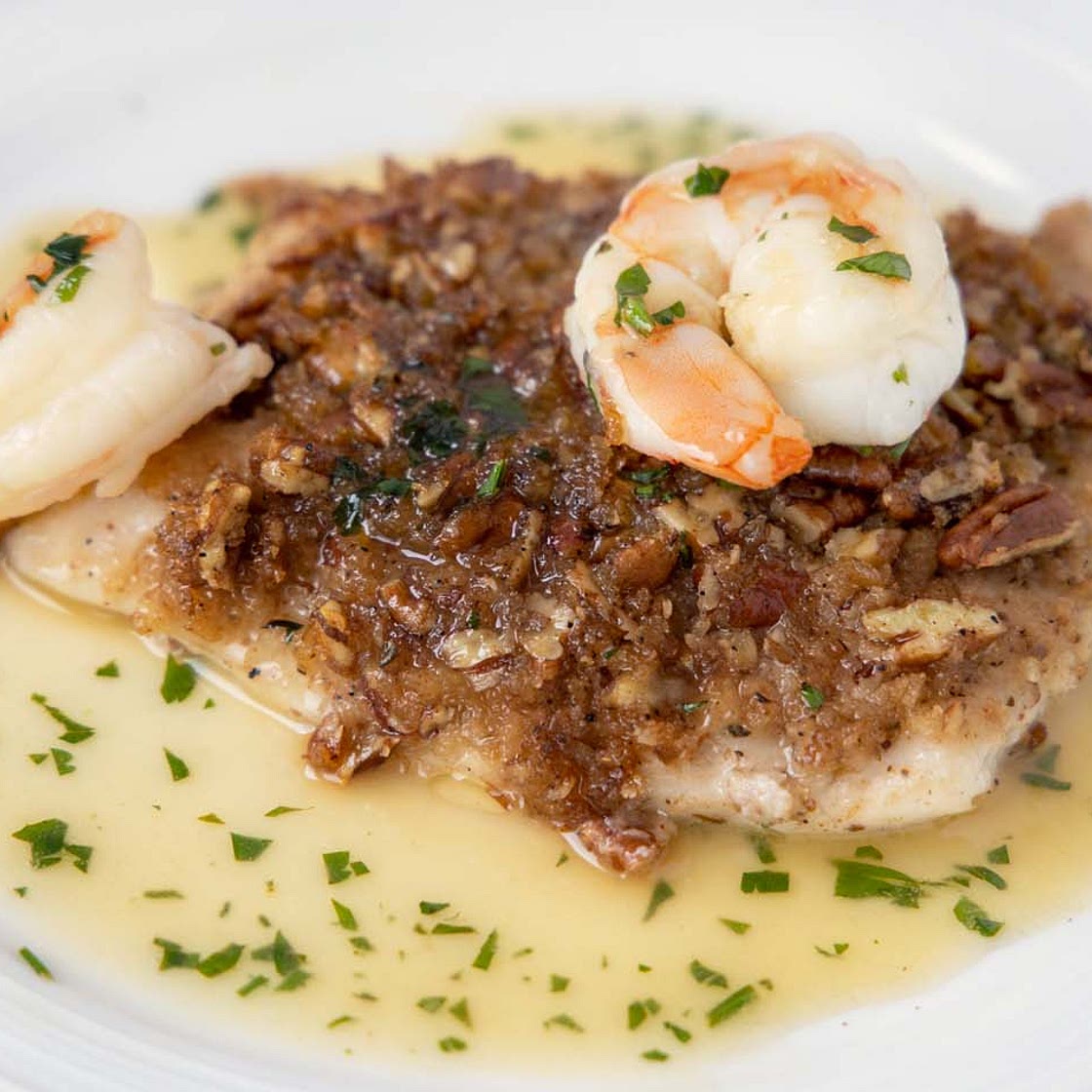 Pecan Encrusted Red Snapper Recipe