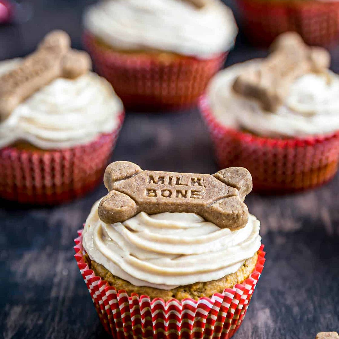 Carrot Peanut Butter Pupcakes
