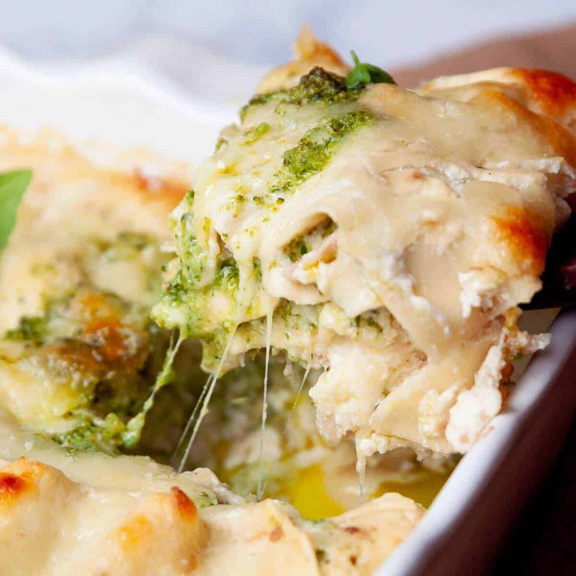 Chicken and Broccoli Lasagna