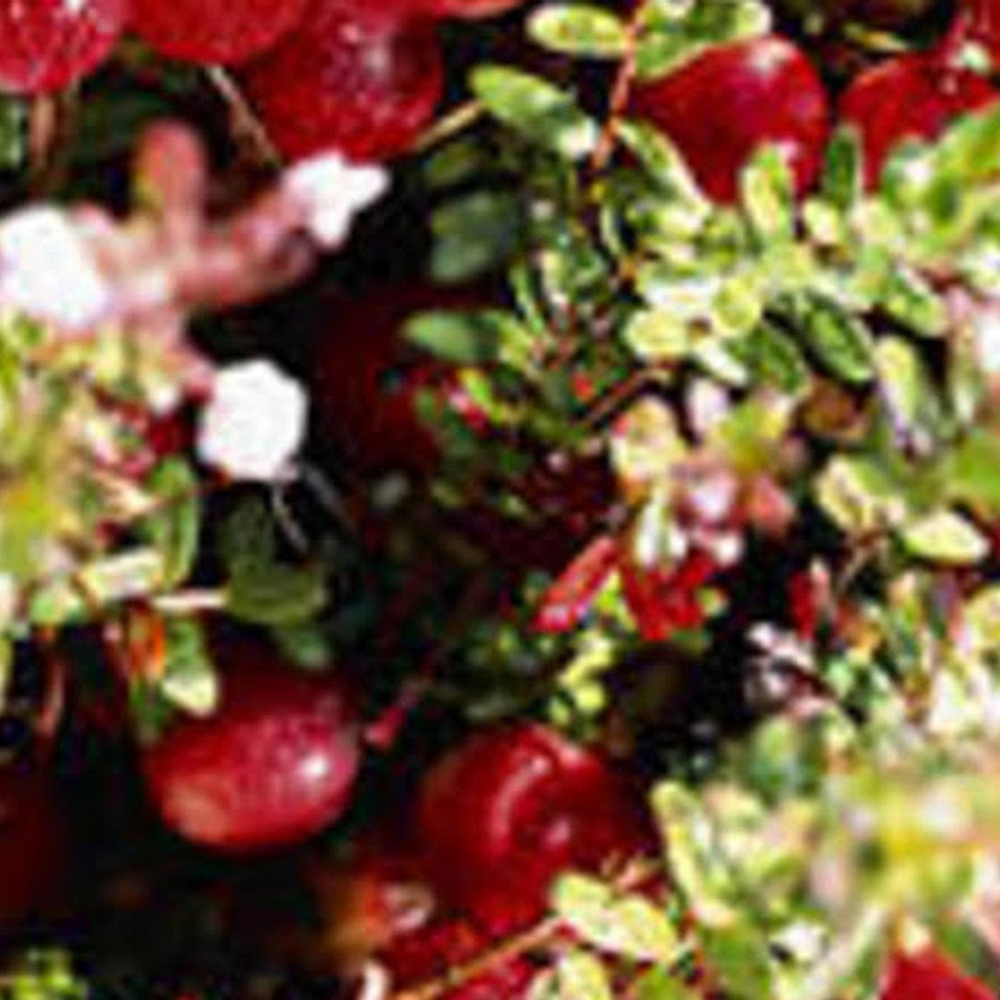 5 Homemade Spa Treatments from Holiday Leftovers