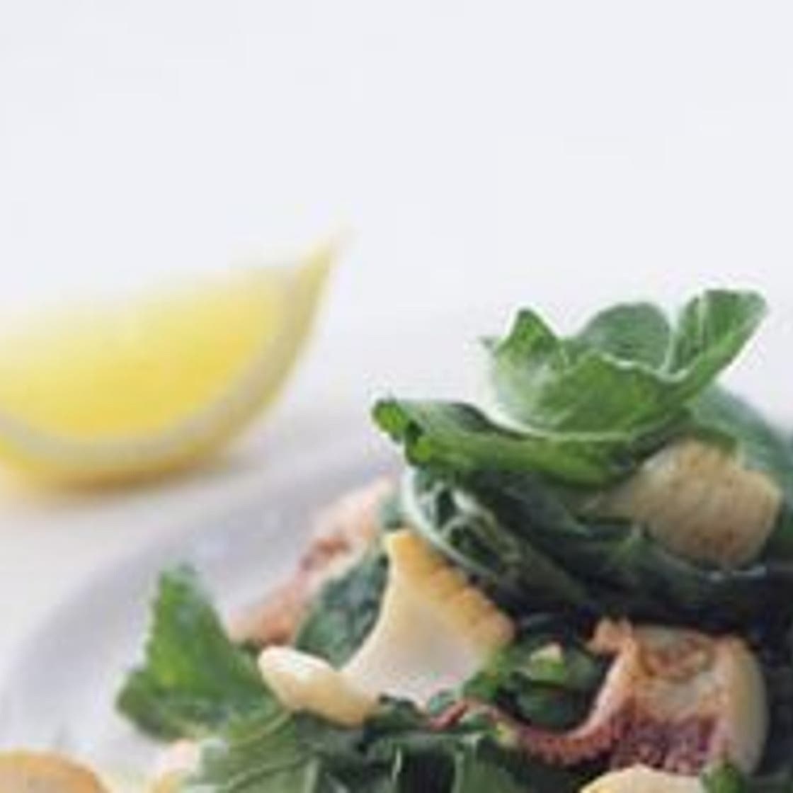 Grilled Calamari with Arugula