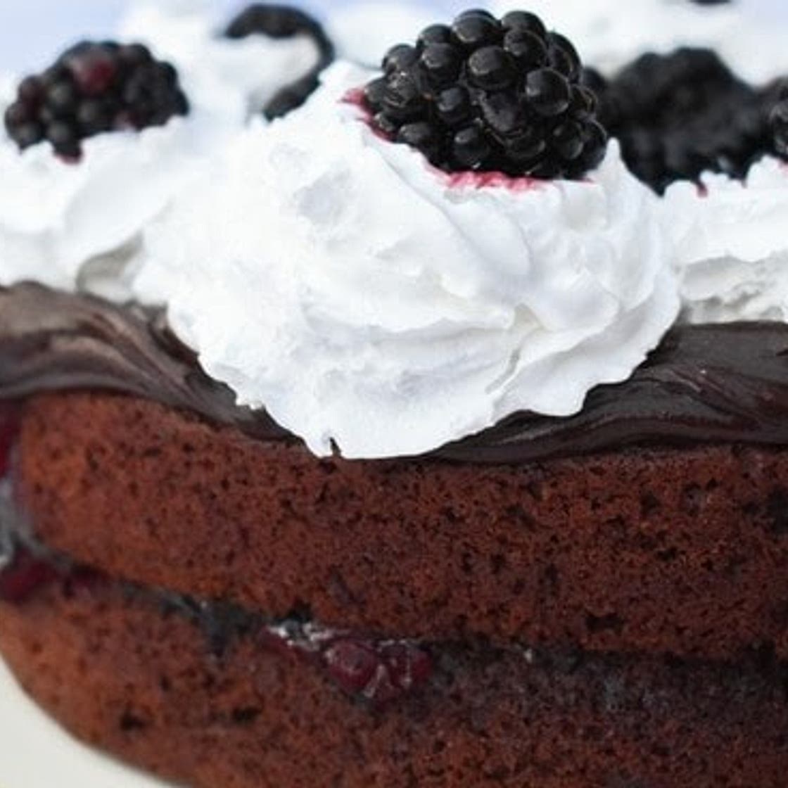 Quick Blackberry Chocolate Cake (vegan)