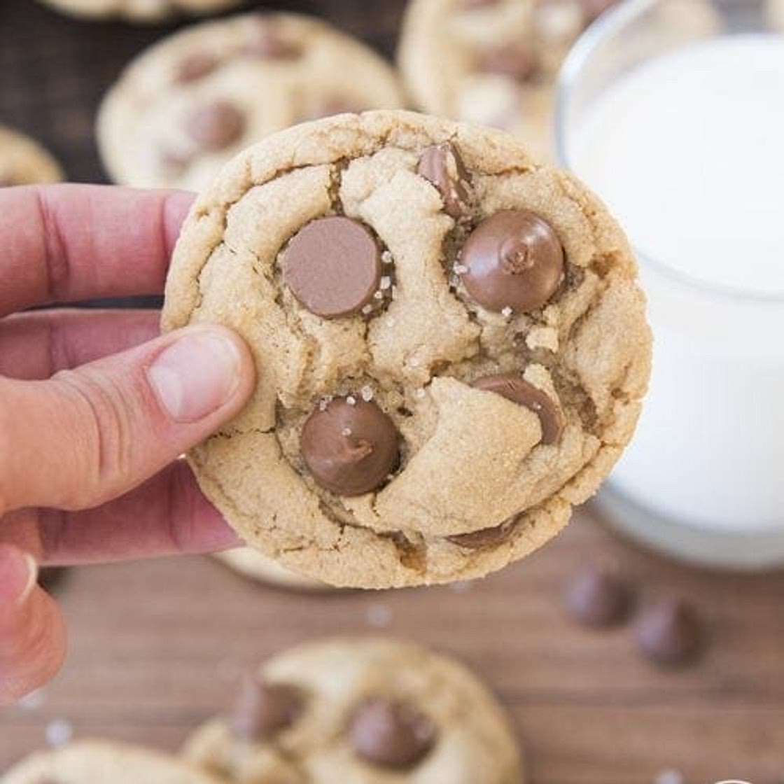 Peanut Butter Chocolate Chip Cookies