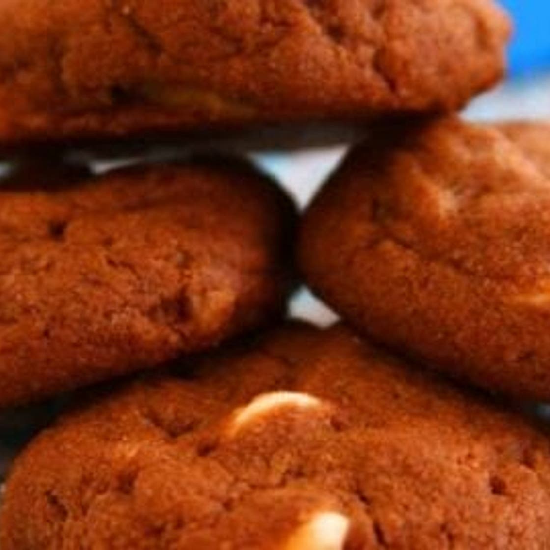Whole Wheat Double Chocolate Cookies