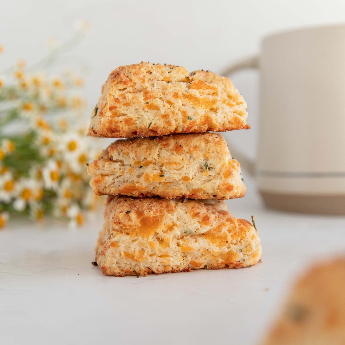 cheddar and chive biscuits