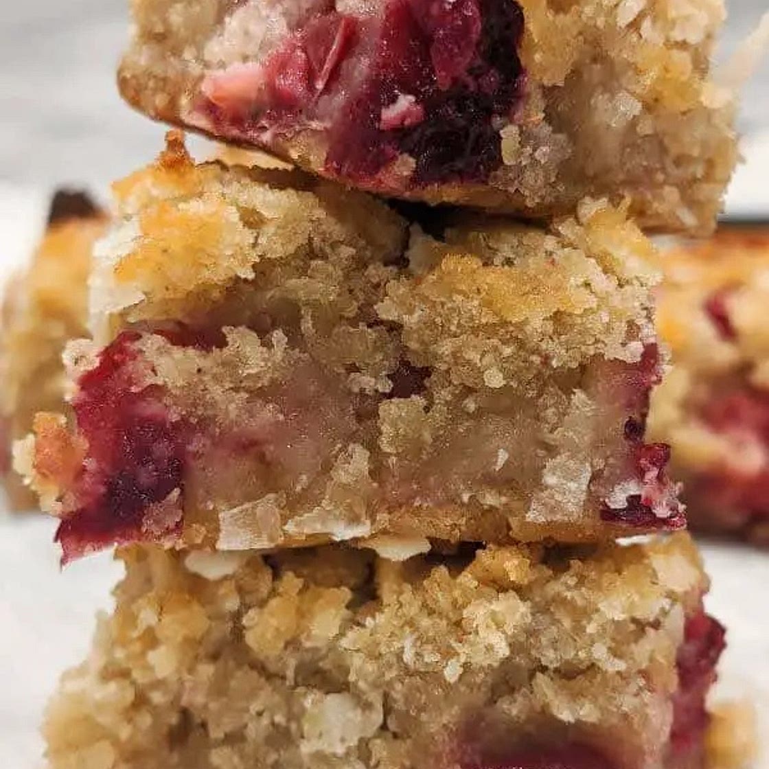 Cranberry Orange Coconut Bars (Paleo, AIP, GF)