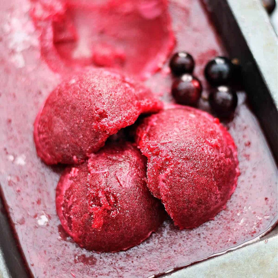 Blackcurrant Sorbet