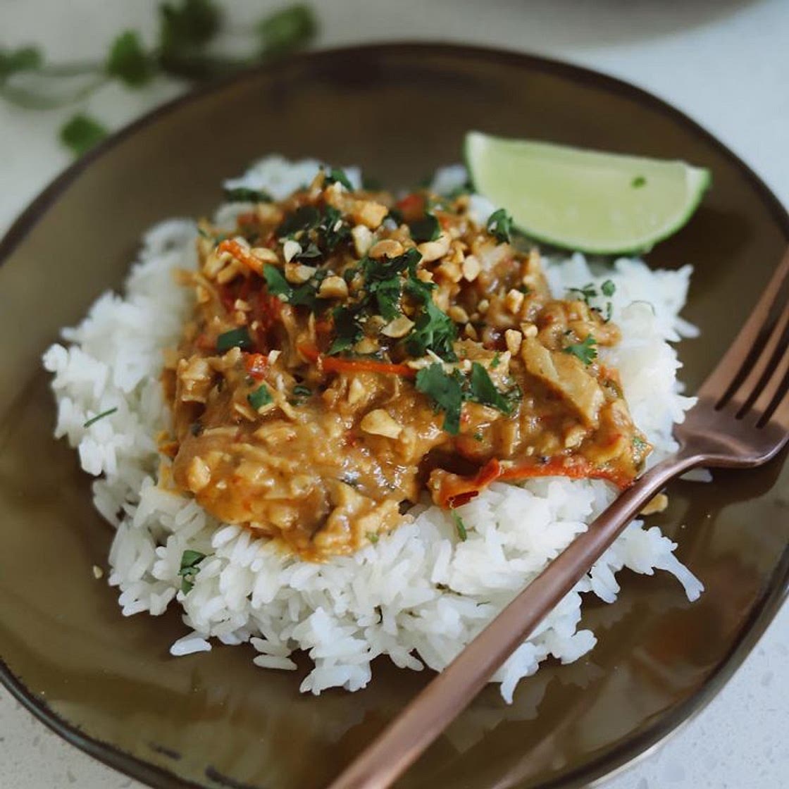 Slow Cooker Thai Chicken with Peanut Sauce