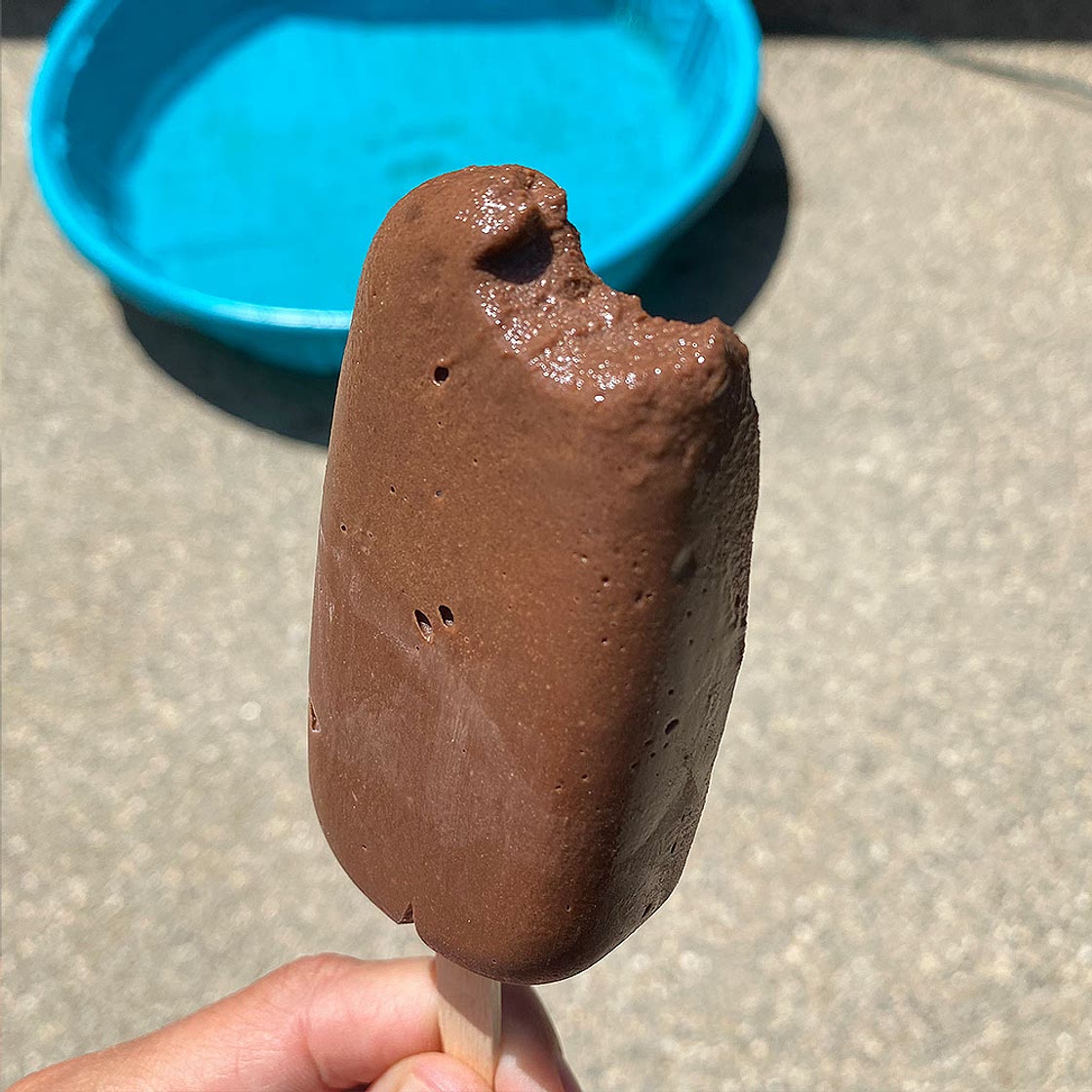 Low Calorie Fudgsicles