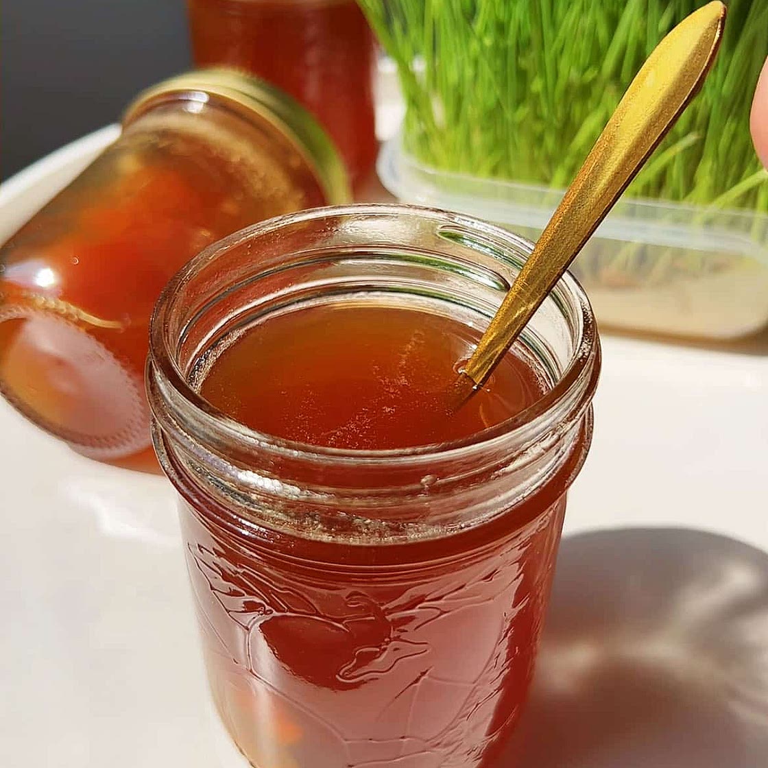 Vegan Honey (maltose syrup made from wheat grass)