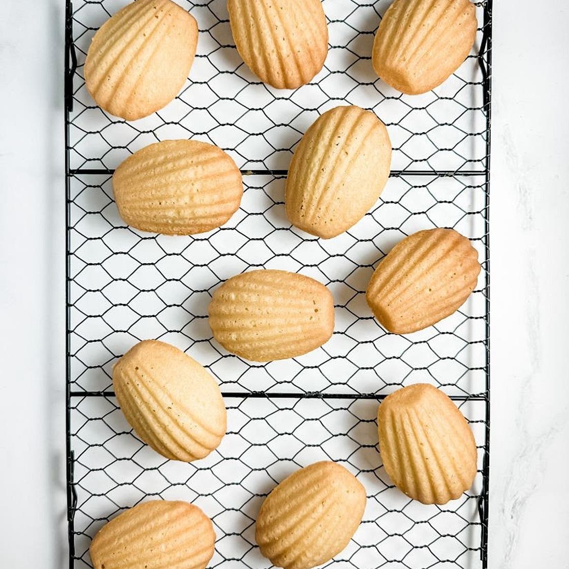 Madeleines