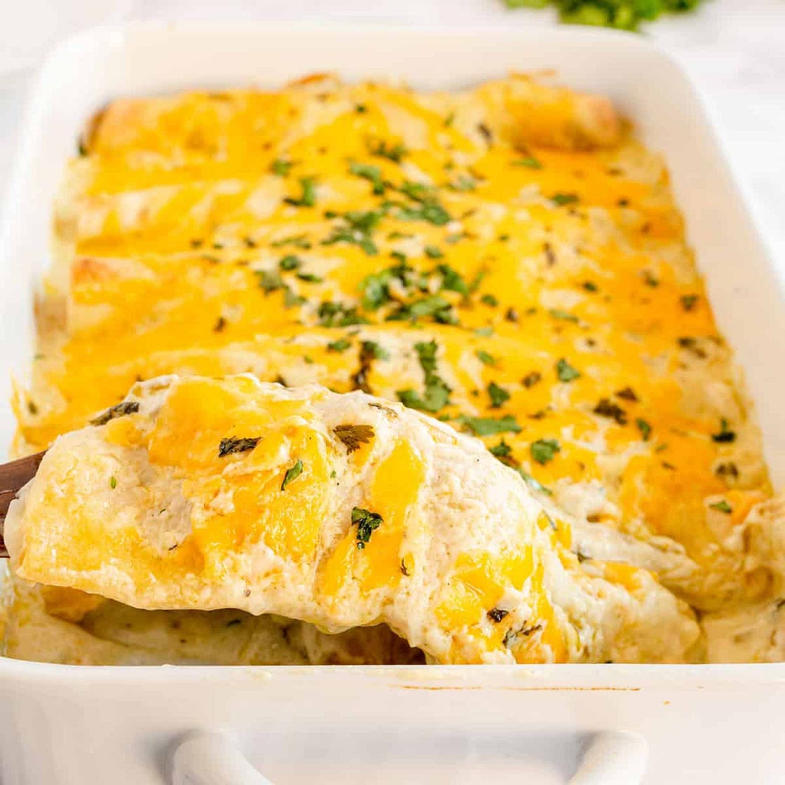 Simple Sour Cream Chicken Enchiladas
