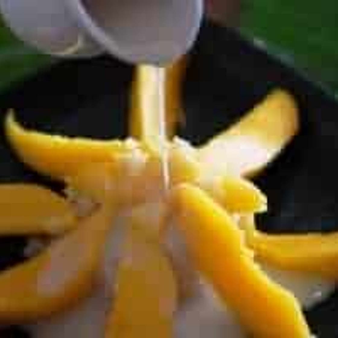 Mangoes with Sticky Rice