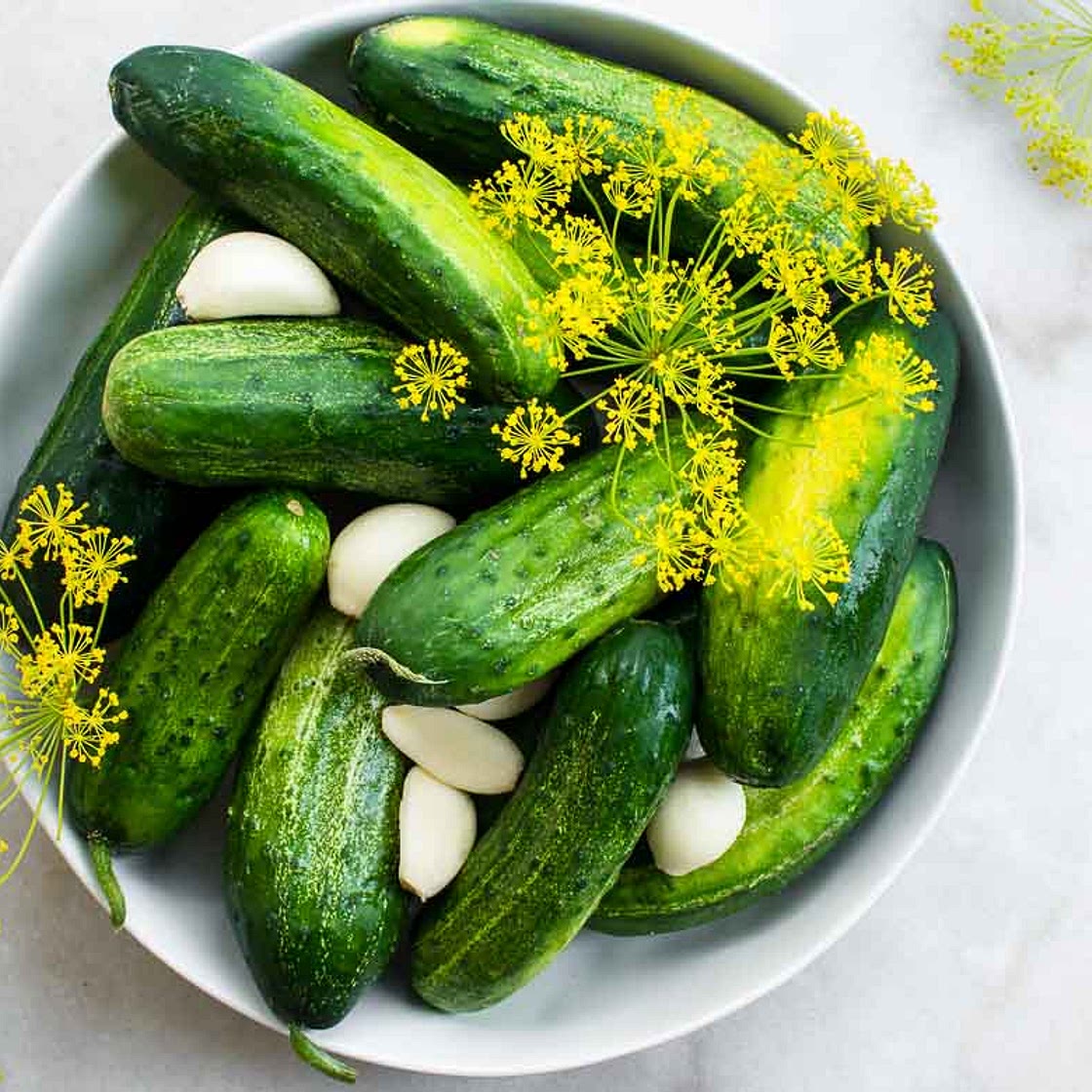 Sour Pickles Recipe