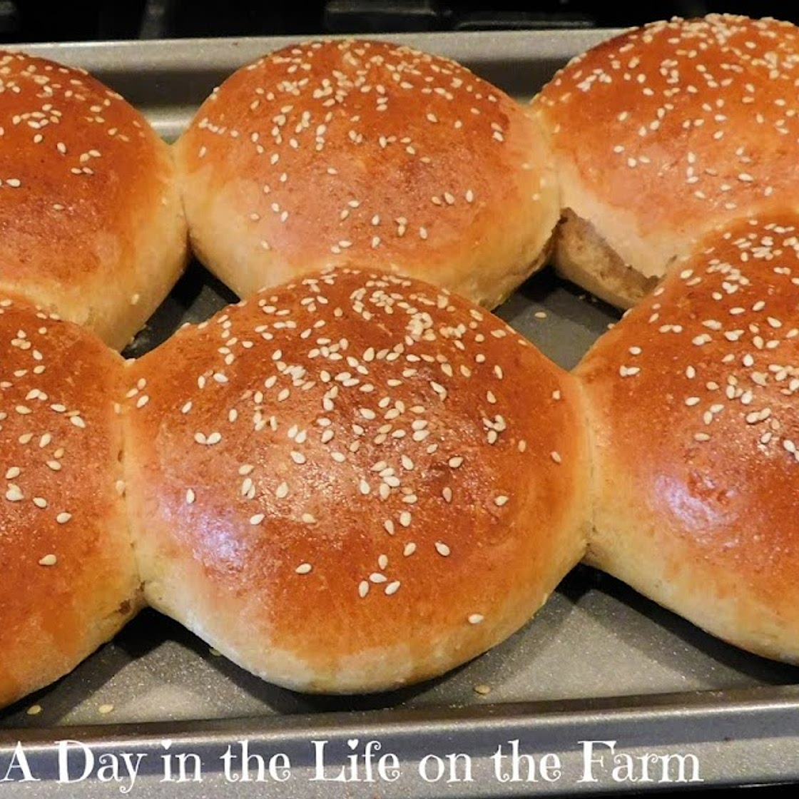 Sourdough Hamburger Buns